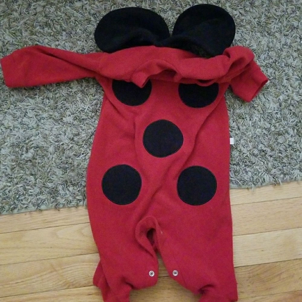 Infant lady bug